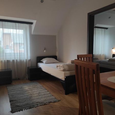 Apartments & Accommodation Stojic ノヴィ・サド 部屋 写真